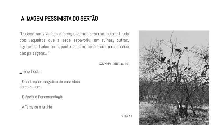 Os Sertões_A terra_A pesquisa em linguagem da arquitetura_E1_page-0002