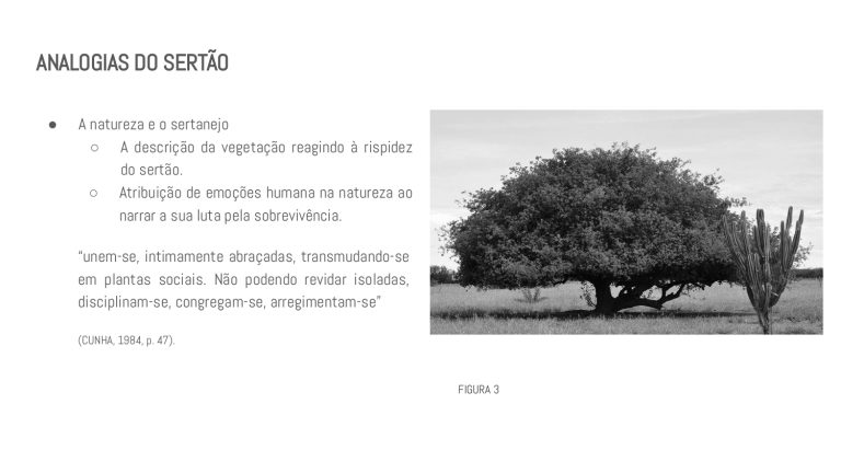 Os Sertões_A terra_A pesquisa em linguagem da arquitetura_E1_page-0005