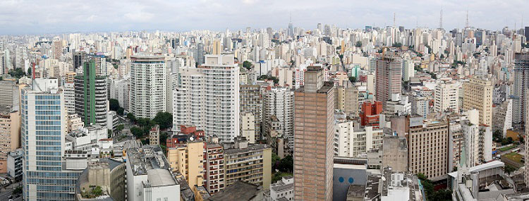 São-Paulo web